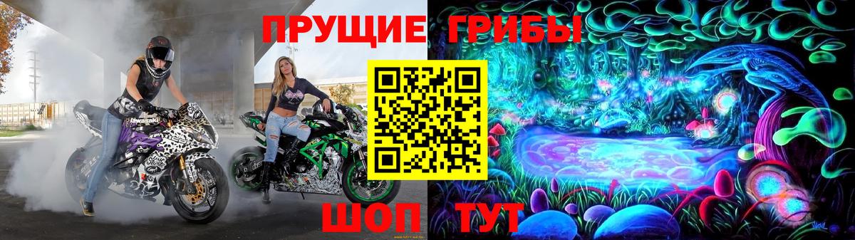 Галлюциногенные грибы Psilocybe Северск