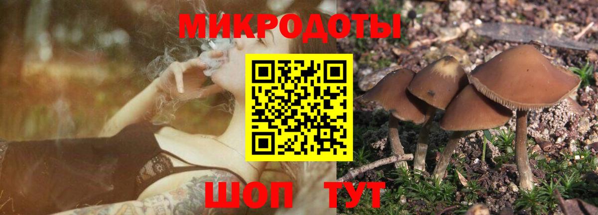 Северск  Галлюциногенные грибы мицелий  где купить наркотик  Галлюциногенные грибы мицелий  Вход с VPN 